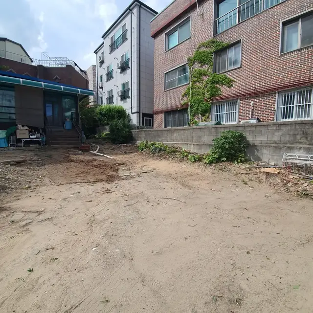 고목 제거 후 부지 정리 - 작업 후